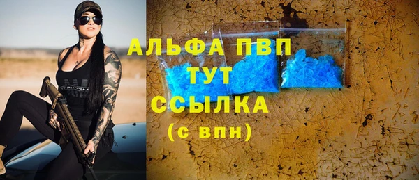 мяу мяу мука Белокуриха