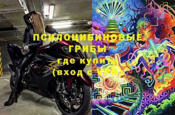 spice Беломорск