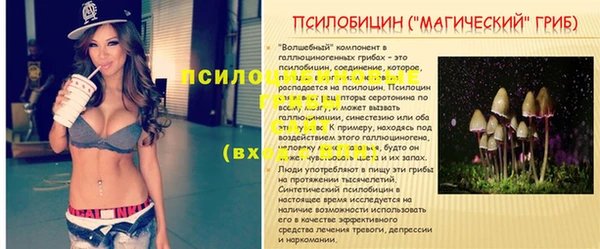 мяу мяу мука Белокуриха
