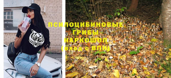 мяу мяу мука Белокуриха