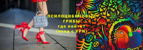 spice Беломорск